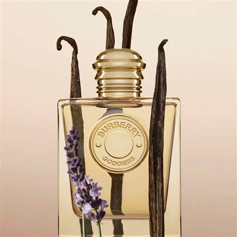 burberry profumo estivo